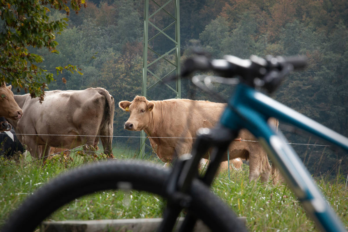 Superior XF919RC MTB FULL-SUSPENSION kalnu velosipēds